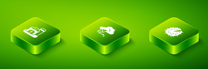 Set Isometric Kite, Chestnut and Farm house icon. Vector