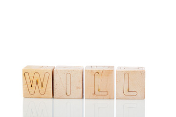 Wooden cubes with letters will on a white background