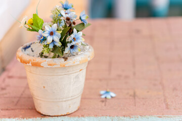 Beutiful flower pot
