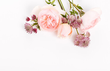 Festive pink flower rose frame on the white background.
