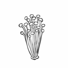 Vector doodle with a mycelium of Enokitake mushrooms. The concept of Asian cuisine, food. Line art mushrooms