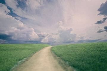 Rolling countryside with a dirt road and a blue cloudy sky in summer. 3D render.
