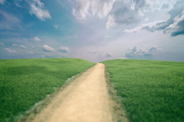 Fototapeta na wymiar Rolling countryside with a dirt road and a blue cloudy sky in summer. 3D render.
