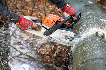 A lumberjack using a chainsaw in the forest. The Carpathian Mountains, Poland.