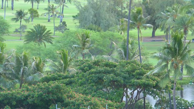 Golf field in tropics in 4k