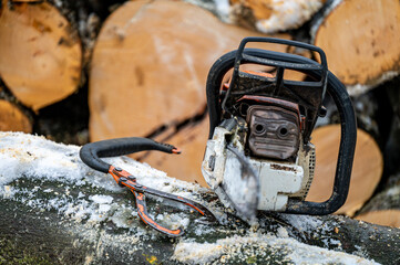 A lumberjack equipment. A chainsaw and a hand lifting tongs.