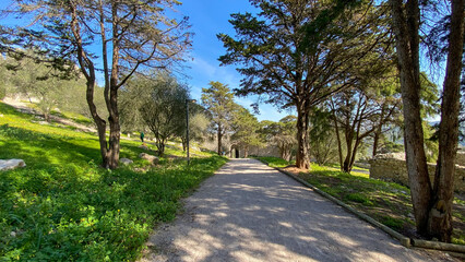 Fototapeta premium parque