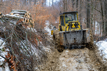 Skidder in the forest. Professional logging tractor. The Carpathian Mountains Poland.