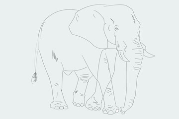 Elephant drawing Line art style for relaxing activity. Concept for animal coloring book sketch. Powerful elephant standing on stick. Danger of wild animals in Africa. Vector illustration template