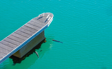 Boat pier in the bay of the city - Cascais, portuguese coast on the Atlantic