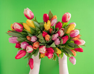 fresh colorful gardening jungle Easter tulips in women hands against green background with copyspace. adorable creative decoration idea.