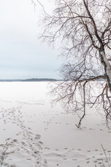 Elovoe lake, Chelyabinsk region, Russia