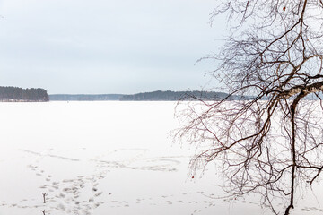 Fototapeta na wymiar Elovoe lake, Chelyabinsk region, Russia
