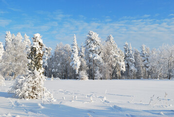Fototapeta na wymiar Park in Imatra in winter