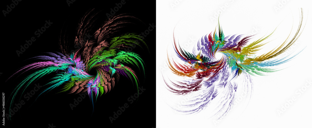 Poster colorful feathers radiate from the center in different directions on black and white backgrounds. se