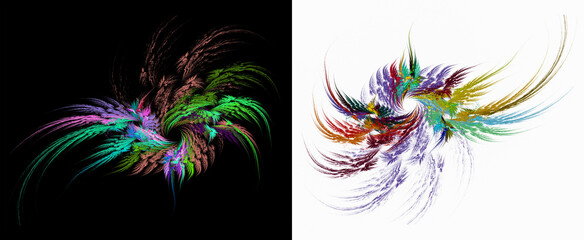 Fototapeta na wymiar Colorful feathers radiate from the center in different directions on black and white backgrounds. Set of graphic design elements. 3d rendering. 3d illustration.