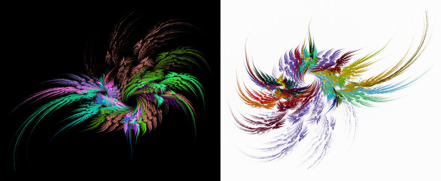 Colorful feathers radiate from the center in different directions on black and white backgrounds. Set of graphic design elements. 3d rendering. 3d illustration.