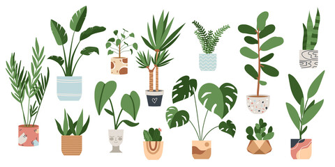 Urban jungle house. Set of cute plants in pots, planters, cacti, tropical leaves. banner, greeting card print. House interior decor elements. Houseplants growing, Home gardening