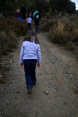 Little child walking in the woods