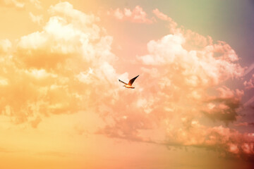 Sky landscape with clouds in pastel colors