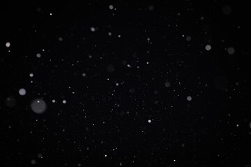 Snow on a black background. Snowflakes for overlay. Snow background.