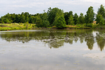 Obraz premium Landscape of lake and green forest