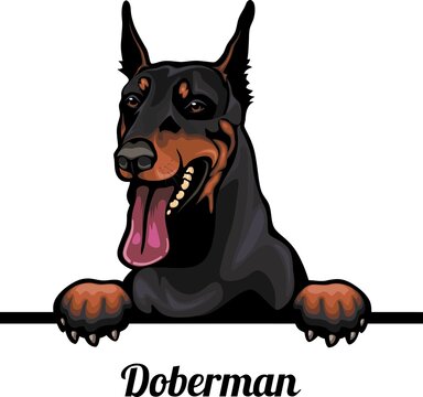 Doberman cartoon outlet