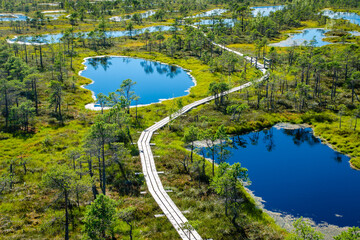 View of the bog from above with a wooden boardwalk and lakes - obrazy, fototapety, plakaty