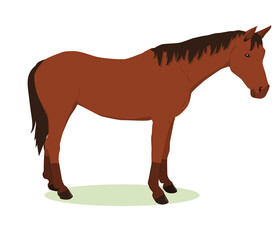 vector illustration of a brown horse with a dark mane isolated on a white background