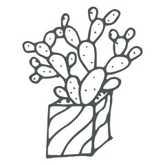 Hand drawn  cactus outline icon in doodle style. Vector liner illustration for print, web, mobile and infographics isolated on white background.  