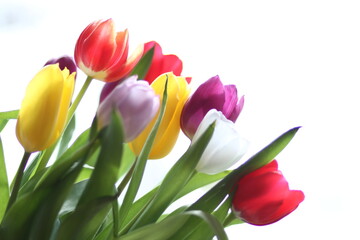 Strauß Tulpen Frühlingsgruß bunt sonnig