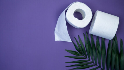 Toilet paper. Lilac and purple background.