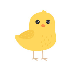Cartoon little chicken. Vector illustration isolated on white background.