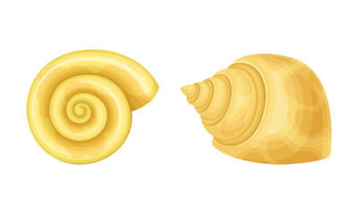 Seashell as Hard Marine Snail Shell Vector Set