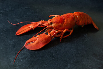 Fresh cooked Atlantic lobster on a black marble counter.