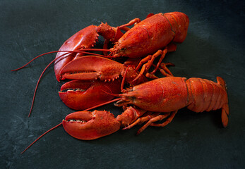 Fresh cooked Atlantic lobster on a black marble counter.