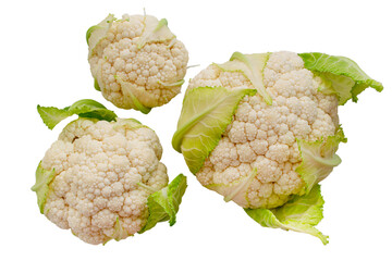 cauliflower close-up on a white background