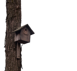Wooden bird house (starling house) on a tree trunk isolated on white background