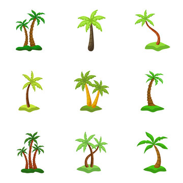 Set of 9 pcs palm trees on a white background - Vector