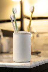 Toothbrushes in a White Cup on the Edge of a Bathroom Vanity