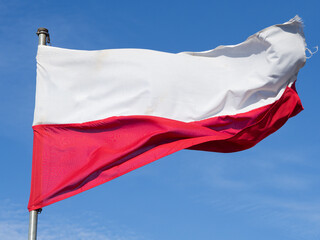 Biało czerwona flaga Polski na błękitnym niebie - obrazy, fototapety, plakaty