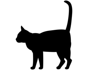 猫のシルエットのイラスト