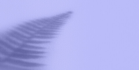 Creative copy space with fern shadows on a trendy violet colored textured wall. Top view of leaves shadows on the light background. Flat lay style. Minimal summer and spring concept with flower leaves