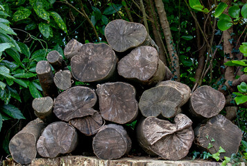 A pile of cut logs edge on. Rough and heavily textured.