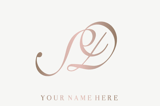 SD monogram logo.Calligraphic signature icon.Letter s and letter d.Lettering sign isolated on light fund.Wedding, fashion, beauty alphabet initials.Elegant, luxury handwritten style.	