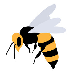 bee flat design on white background