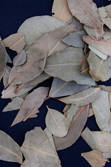Dried whole bay leaves on rustic background with copy space