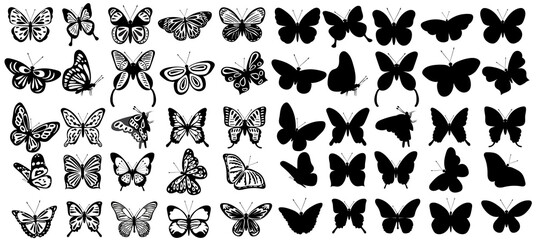 set of butterfly silhouette ,on white background, vector - obrazy, fototapety, plakaty