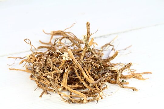 Dried nettle roots, Urtica diocica, on white background. Nettle roots are good for hair growing and regeneration. Help against loosing hair.