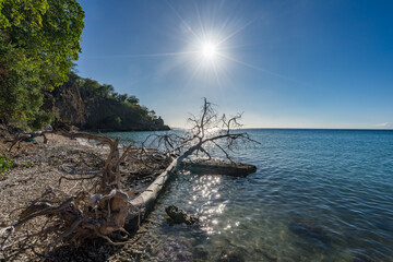 Views around the Caribbean Island of Curacao 